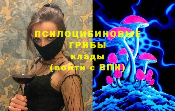 стаф Волосово